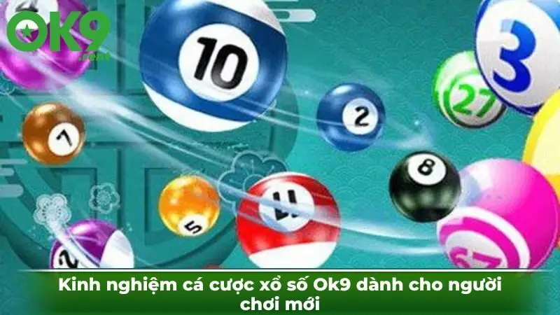 Kinh nghiệm cá cược xổ số Ok9 dành cho người chơi mới